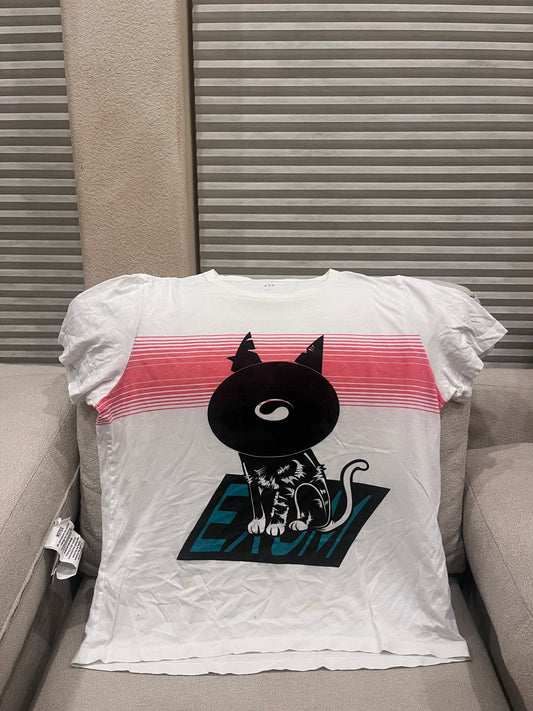 CAT29