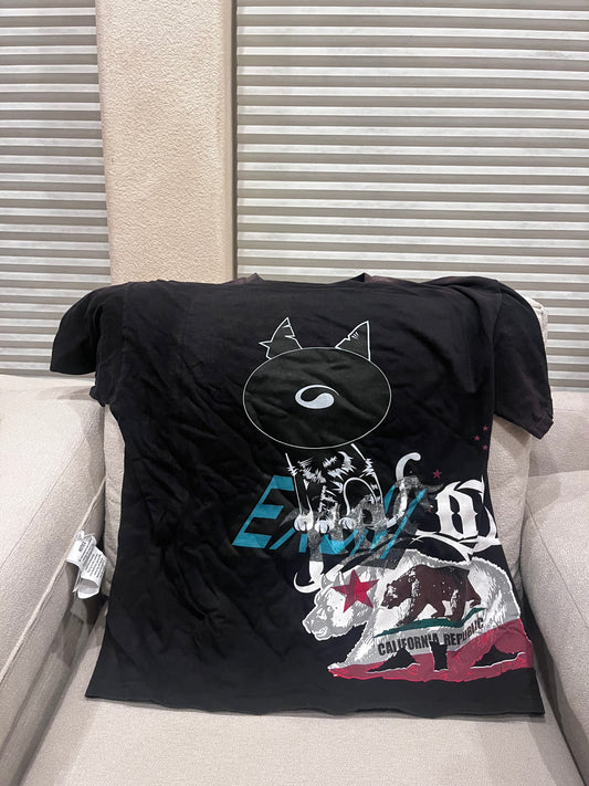 CAT06